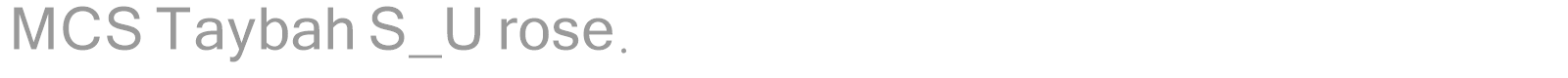 MCS Taybah S_U rose. font preview